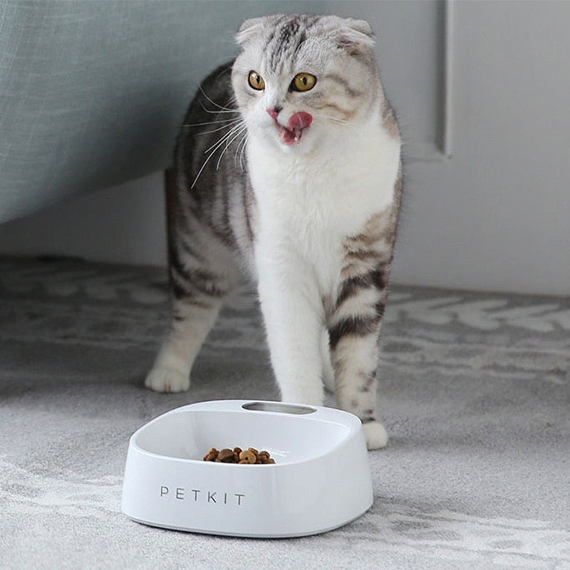 Smart Weighing Food Bowl Feeder