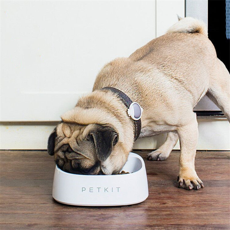 Smart Weighing Food Bowl Feeder